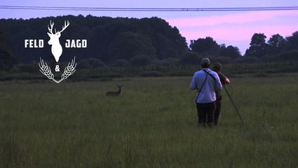 Jagd auf Nikolaus’ erste abnorme Böcke! - Feld und Jagd 