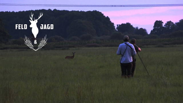 Jagd auf Nikolaus’ erste abnorme Böcke! - Feld und Jagd