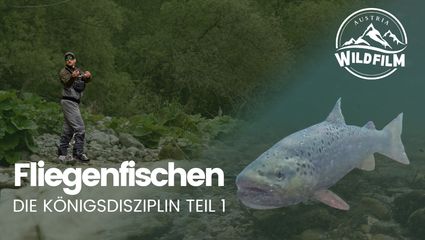 Fliegenfischen - Die Königsdisziplin - Folge 1