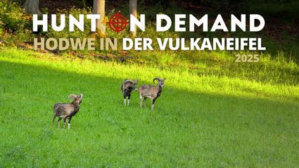 HODWE in der Vulkaneifel 2025