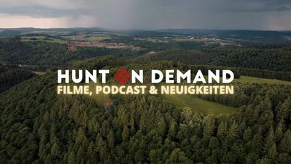 Filme, Podcast & Neuigkeiten! 08/2025