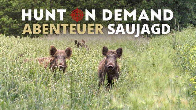 Abenteuer Saujagd – Best of Schwarzwild