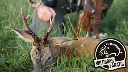 Bockjagd am Fuße des Riesengebirges | Zu Gast bei The Hunting Hub