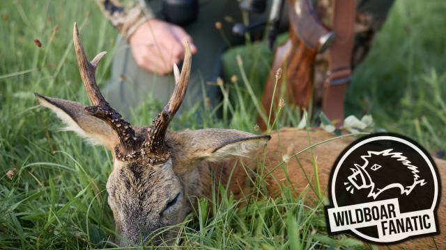 Bockjagd am Fuße des Riesengebirges | Zu Gast bei The Hunting Hub
