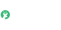 Waidwissen