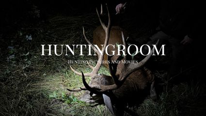 Feisthirschjagd in der Eifel I Der "Stier" 