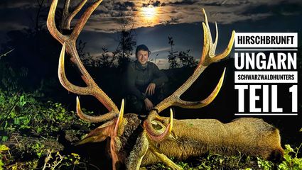 Gigantische Hirschbrunft in Ungarn | Jagderfolg & ein emotionales Vermächtnis | Team Schwarzwaldhunters