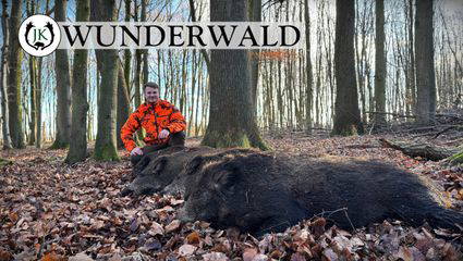 Januar Drückjagd im Wunderwald