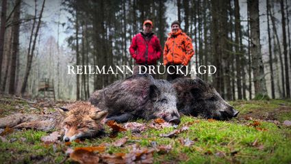 Traum Drückjagd im Reilmannforst 