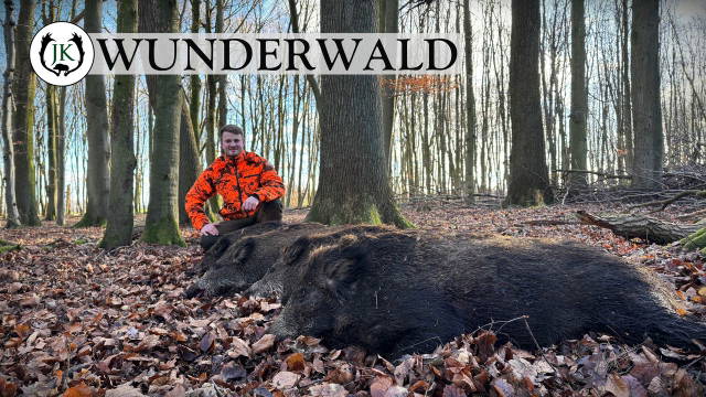 Januar Drückjagd im Wunderwald 
