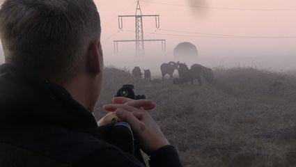 STARKE Rudel machen es nicht leicht! -  Jagd auf Rot & Muffelwild 