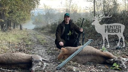 Ungarn 2023 im November/ Hirsch und Kahlwildjagd