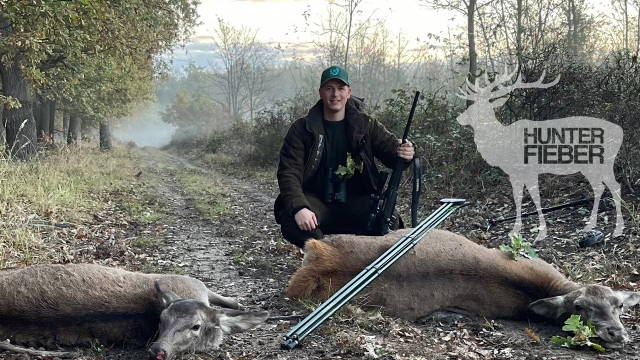 Ungarn 2023 im November/ Hirsch und Kahlwildjagd