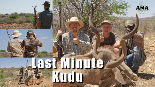 Last Minute Kudu