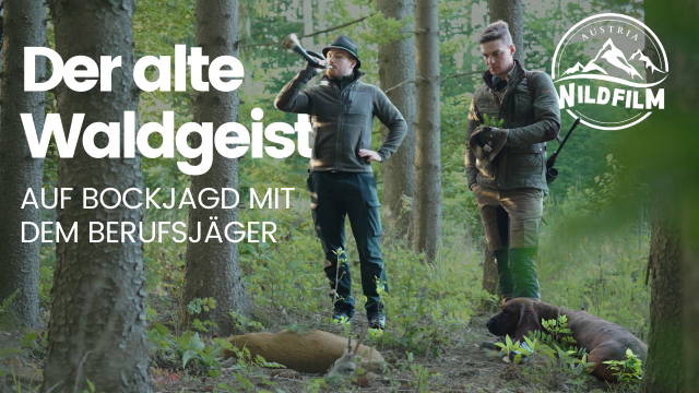 Der alte Waldgeist Auf Bockjagd mit dem Berufsjäger