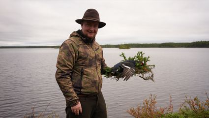 Jagd in Schweden – Atemberaubende Elch und Birkhahn Jagd im südlichen Lappland!