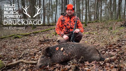Drückjagd im Eichenwald -  Auf Jagd bei CopterPro