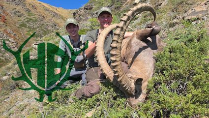 Abenteuer Kasachstan 2/4 - zwei Steinböcke an einem Morgen