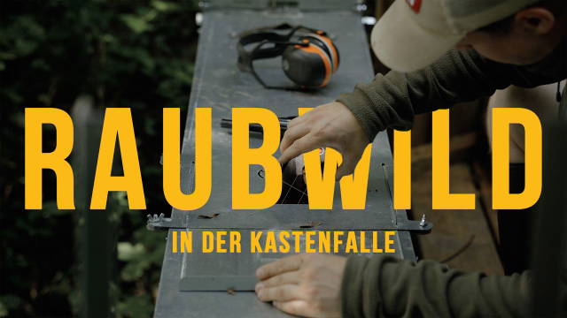 𝗞𝗥𝗔𝗧𝗭𝗧, 𝗕𝗘𝗜𝗦𝗦𝗧, 𝗚𝗥𝗘𝗜𝗙𝗧 -  Raubwild in der Kastenfalle!