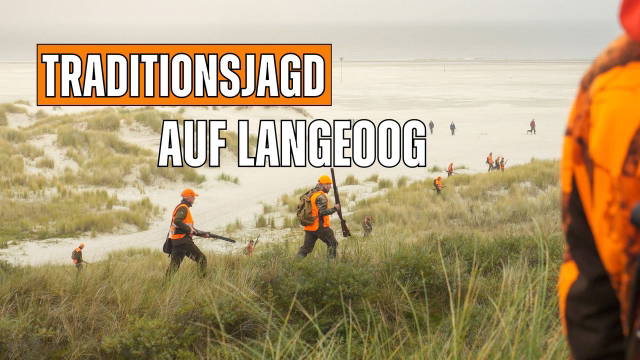 Treibjagd auf der Nordseeinsel – Auf Hase & Fasan in den Dünen Langeoogs