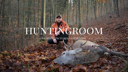 Drückjagd I Krankes Wild im Huntingroom