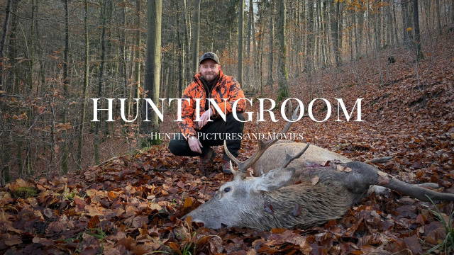 Drückjagd I Krankes Wild im Huntingroom 