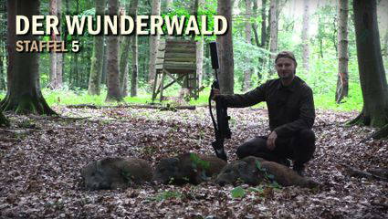 Der Wunderwald | Die unglaubliche Woche - Staffel 5