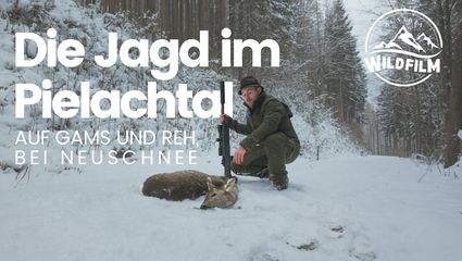 Die Jagd im Pielachtal auf Gams und Reh bei Neuschnee