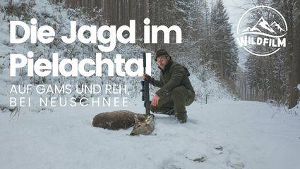 Die Jagd im Pielachtal auf Gams und Reh bei Neuschnee