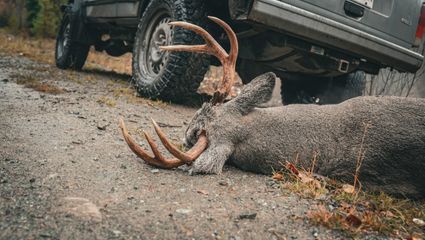 KANADA | Letzter Teil