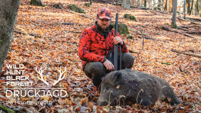 Drückjagd im Huntingroom - Eine Sau kommt selten alleine!