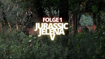 JURASSIC JELENA V -  Folge 1 -  Chancen sind zum Nutzen da 