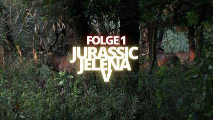 JURASSIC JELENA V - Folge 1 - Chancen sind zum Nutzen da