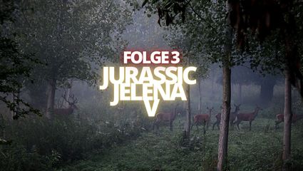 JURASSIC JELENA V  - Folge 3 - Die beste Entscheidung, jemals