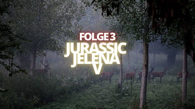 JURASSIC JELENA V - Folge 3 - Die beste Entscheidung, jemals