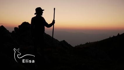 Bergauf. Bergab. Bis zur ersten Gams.