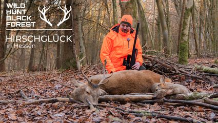 Hirschglück in Hessen