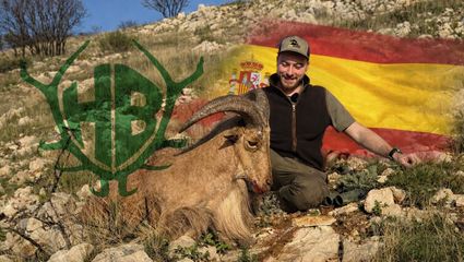 auf Mähnenspringer in Alicante - Eri´s Spanienabenteuer