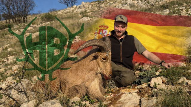 auf Mähnenspringer in Alicante - Eri´s Spanienabenteuer