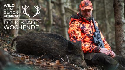 Das Drückjagdwochenende 
