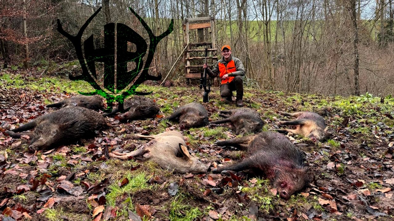 Traumdrückjagd - 7 Frischlinge für Gerold