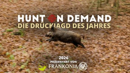 Die Drückjagd des Jahres steht bevor!