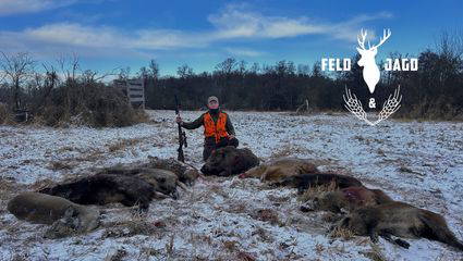 Schneedrückjagd in Mecklenburg - Feld und Jagd