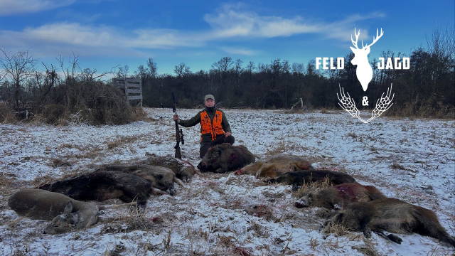 Schneedrückjagd in Mecklenburg - Feld und Jagd 