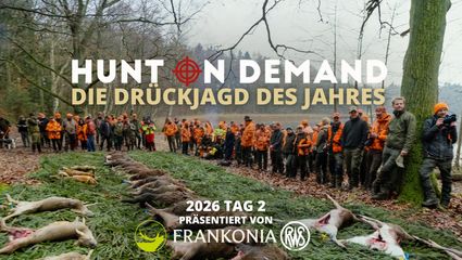 Die Drückjagd des Jahres 2026 Tag 2