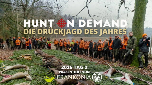 Die Drückjagd des Jahres 2026 Tag 2
