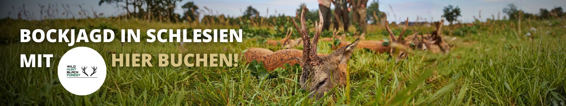 Bockjagd in Schlesien