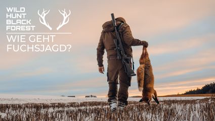 Wie geht Fuchsjagd? -Jagd auf den Winterfuchs am Tag-