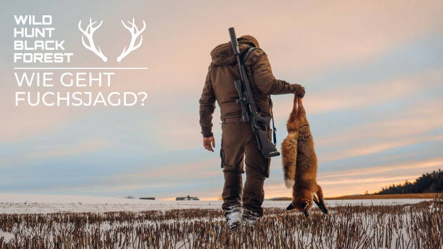 Wie geht Fuchsjagd? -Jagd auf den Winterfuchs am Tag-
