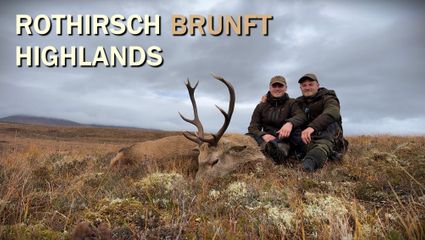 Rothirsch Brunft 2025 - Schottland Highlands Teil 2